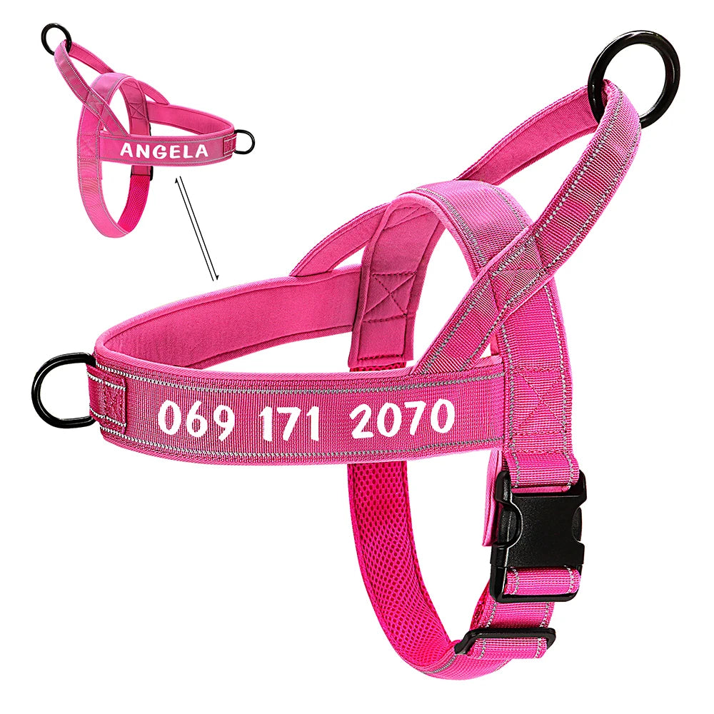 Personalisiertes No-Pull Geschirr