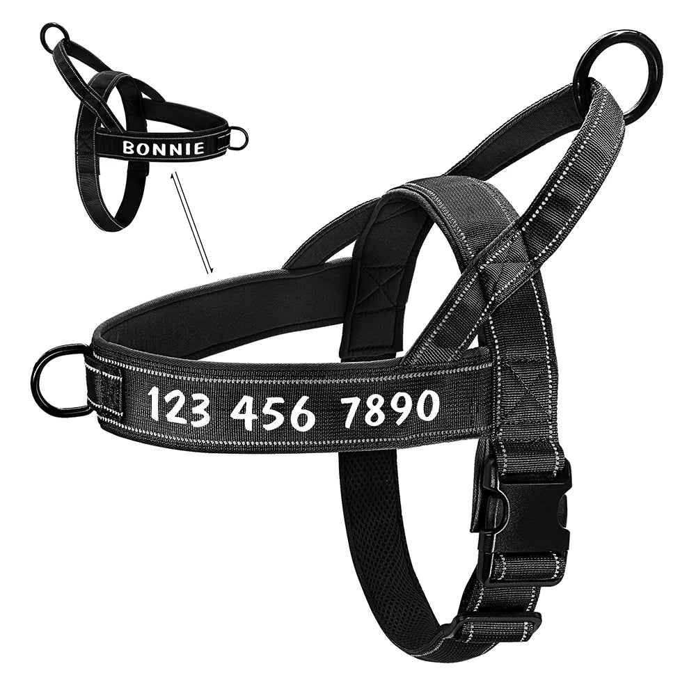 Personalisiertes No-Pull Geschirr