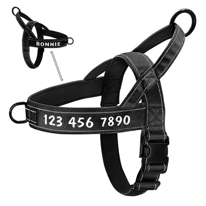 Personalisiertes No-Pull Geschirr