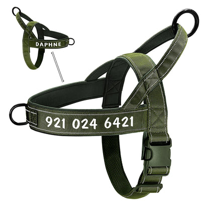 Personalisiertes No-Pull Geschirr