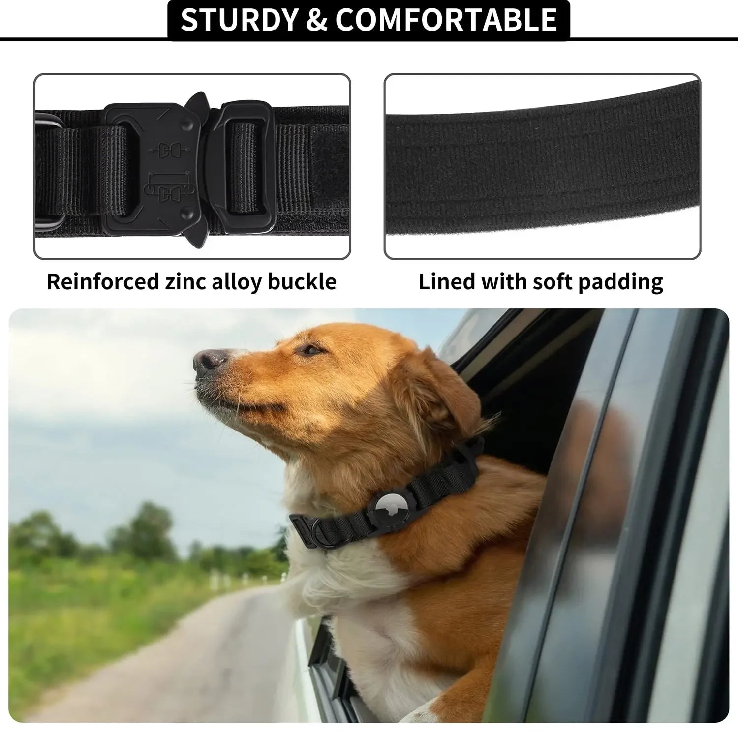 Safety-Halsband