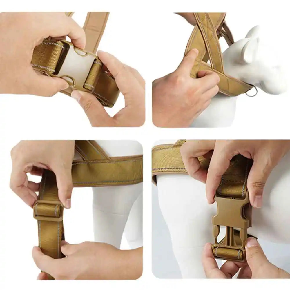 No-Pull Geschirr